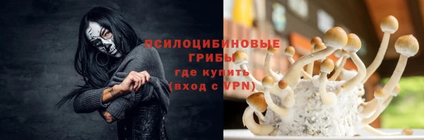 амфетамин Алексеевка