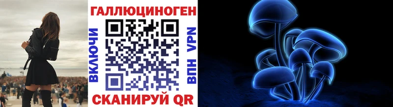 omg ССЫЛКА  даркнет сайт  Подпорожье  Псилоцибиновые грибы Cubensis 